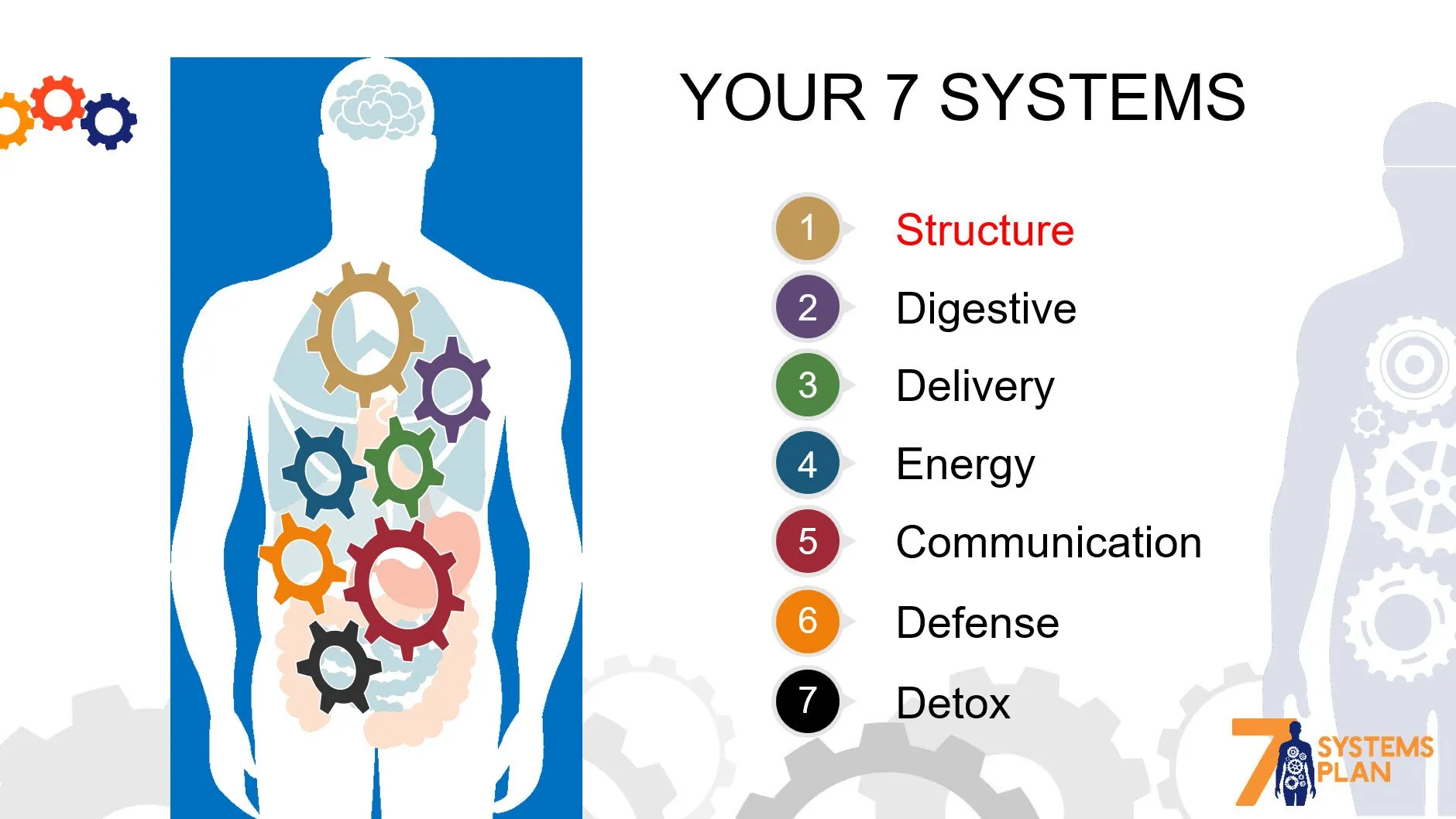 Chiropractic South Sioux City NE 7 Systems