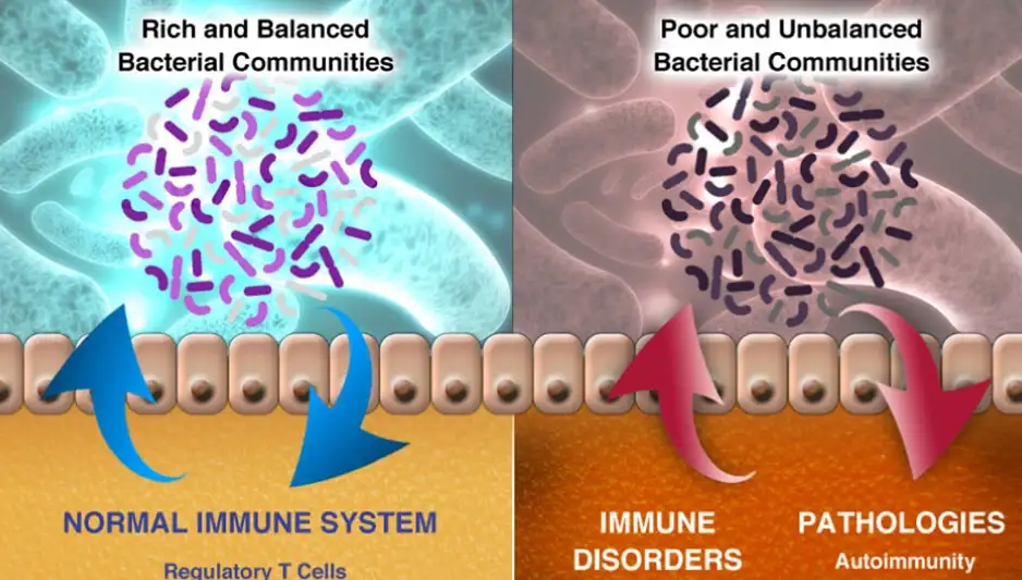 Chiropractic South Sioux City NE Bacterial Communities