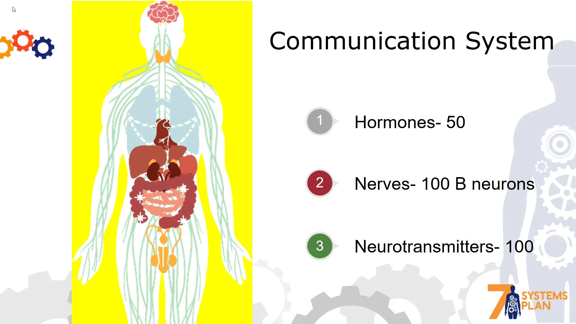 Chiropractic South Sioux City NE Communication System