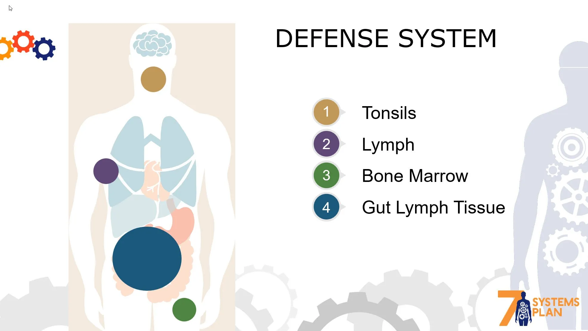 Chiropractic South Sioux City NE Defense System