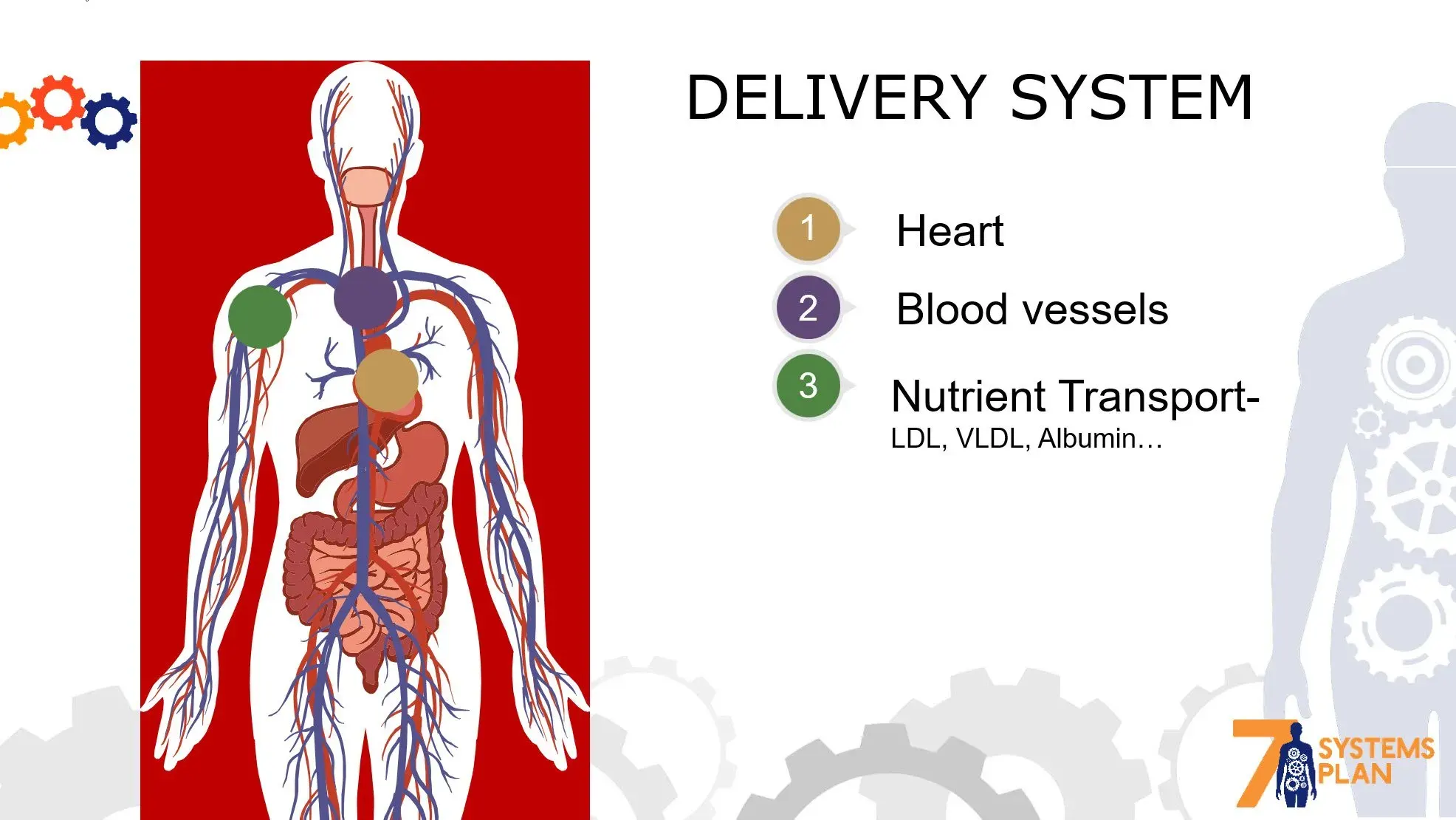 Chiropractic South Sioux City NE Delivery System