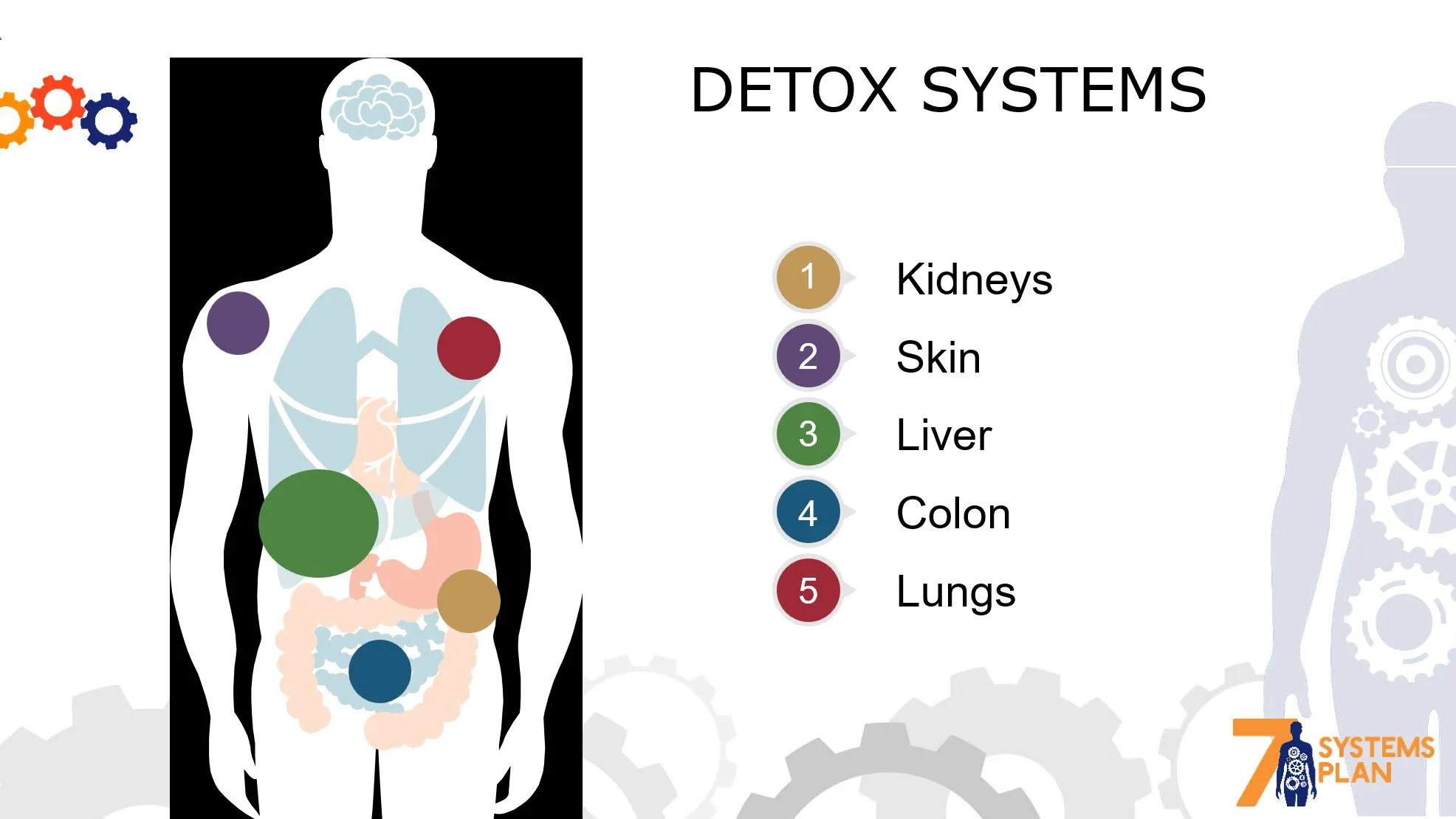 Chiropractic South Sioux City NE Detox System