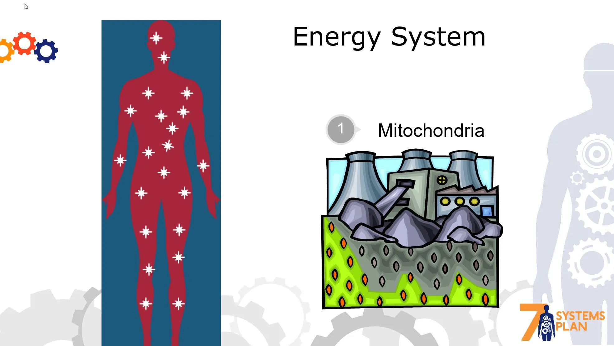 Chiropractic South Sioux City NE Energy System