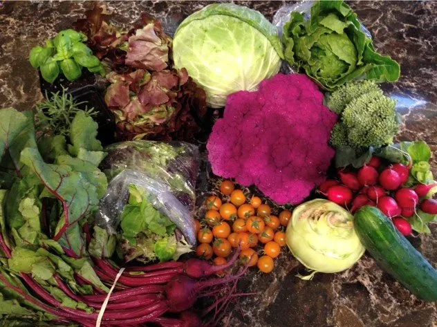 Chiropractic South Sioux City NE Farmers Market Mixed