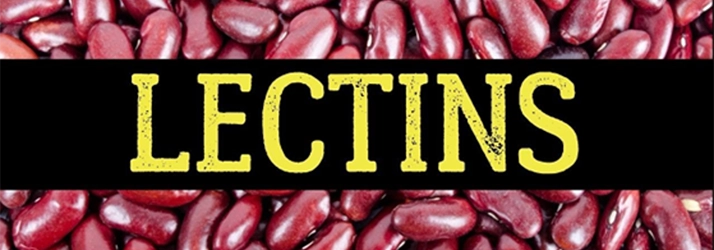 The Truth About Lectins in South Sioux City NE