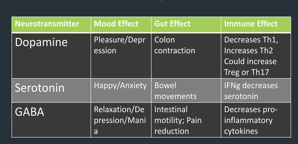 Chiropractic South Sioux City NE Neurotransmitter