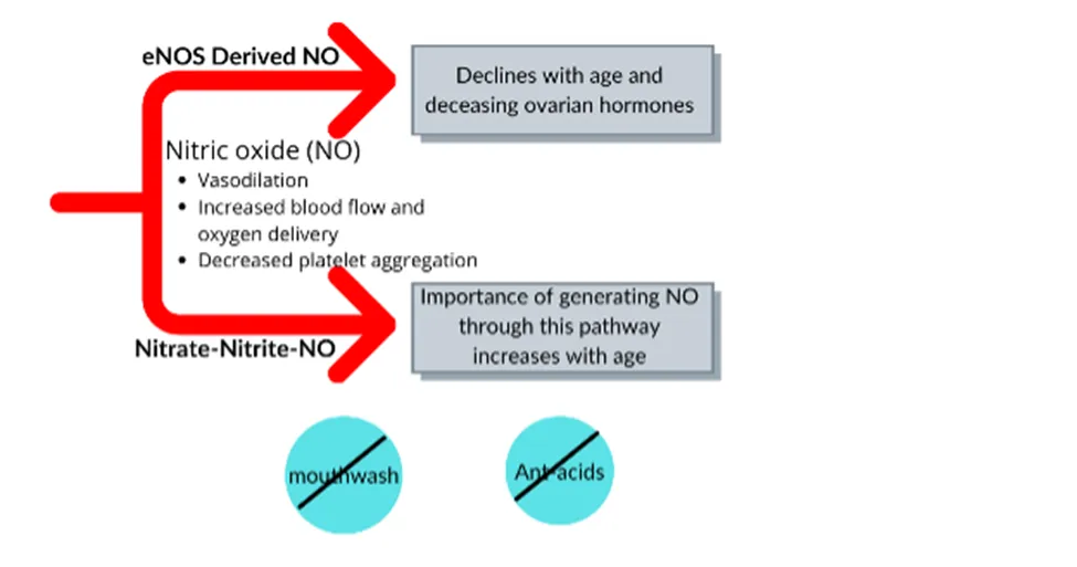 Chiropractic South Sioux City NE Nitric Oxide