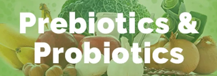 Why You Need Prebiotics and Probiotics in South Sioux City NE