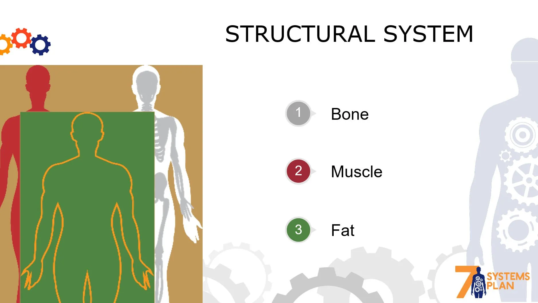 Chiropractic South Sioux City NE Structural System